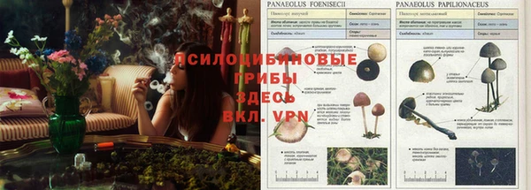 амф Алексин