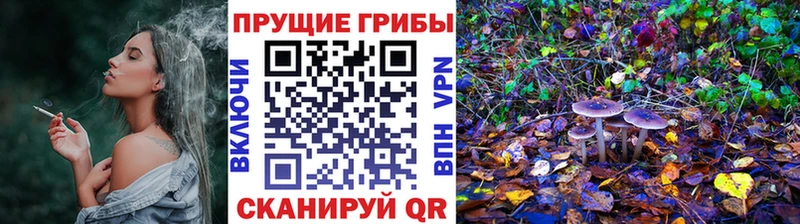 Галлюциногенные грибы MAGIC MUSHROOMS Щёкино