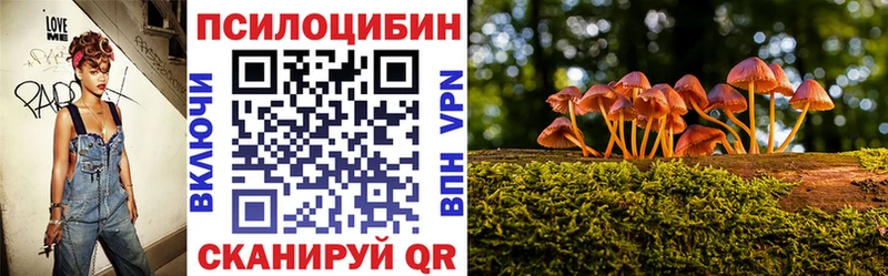 Псилоцибиновые грибы MAGIC MUSHROOMS  гидра сайт  Щёкино 